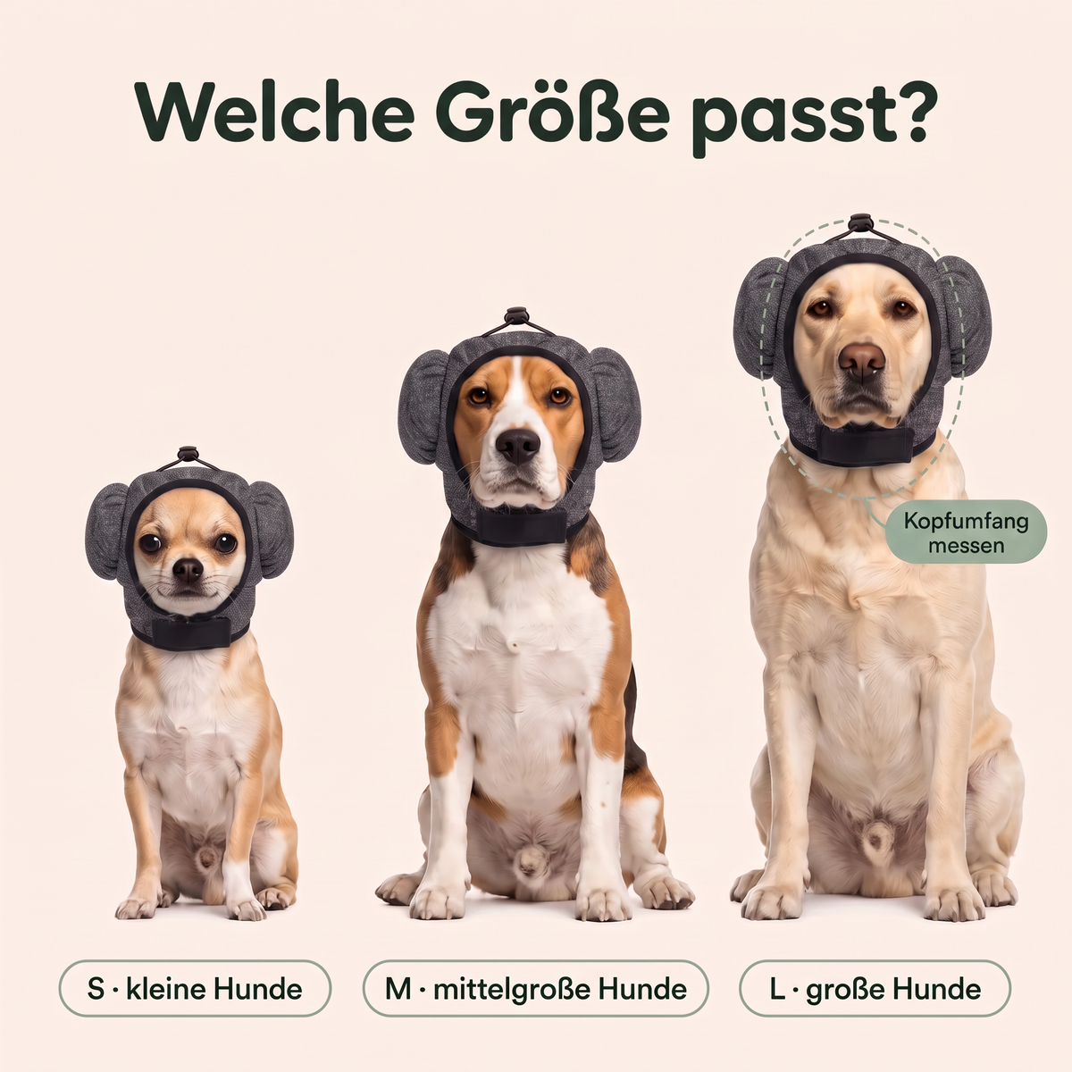Pfotenruhe Gehörschutz für Hunde – Silvester-Set