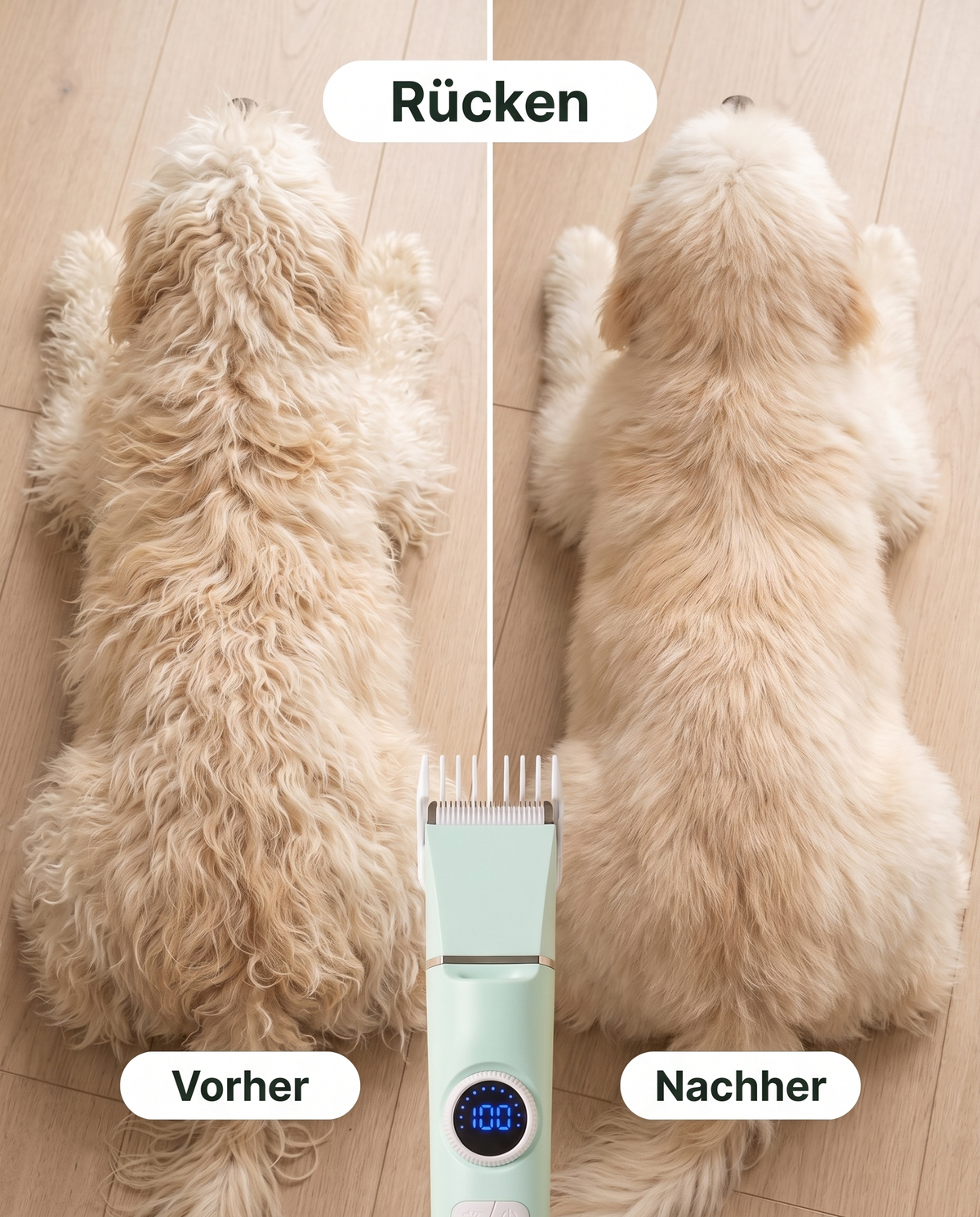 Pfotenruhe 4-in-1 Set – Pfotentrimmer, Krallenschleifer & Schermaschine